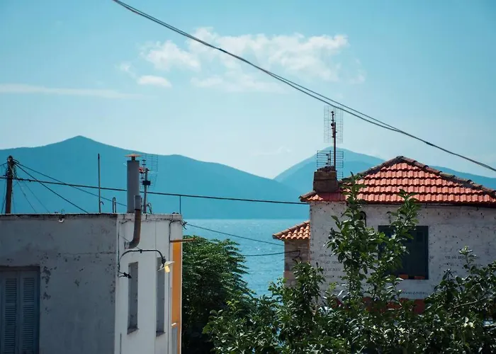 Apartment Seagull House